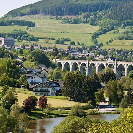 Friends & Family Domizil Willingen Leilighet Willingen  Eksteriør bilde
