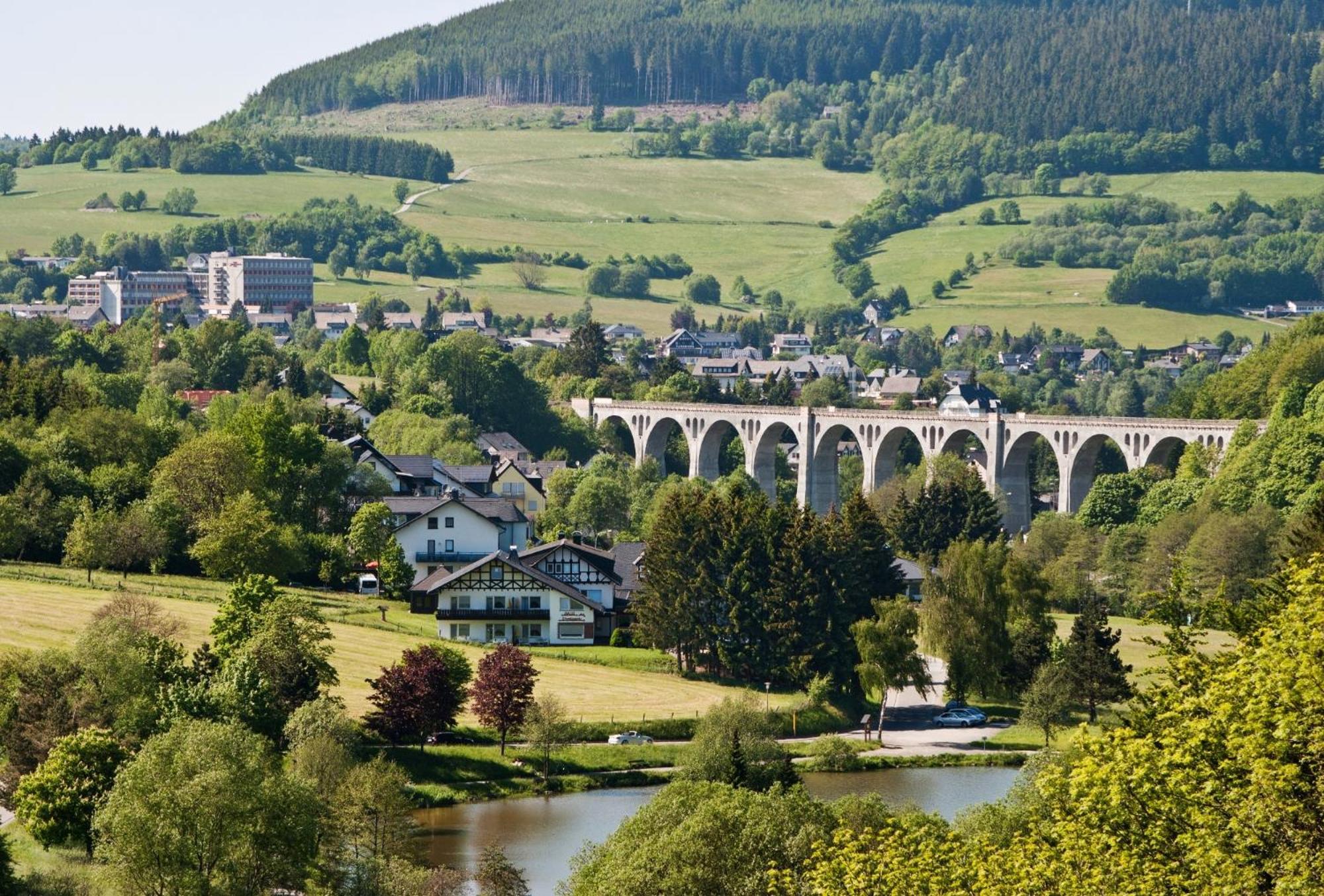 Friends & Family Domizil Willingen Leilighet Willingen  Eksteriør bilde